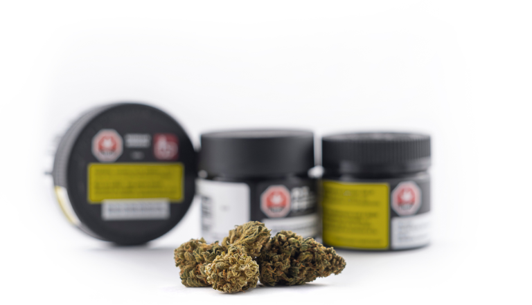 From Seed to Sale: How RFID Is Streamlining the Cannabis Industry (Part Two)