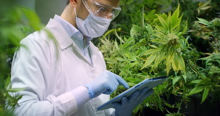 Printed Electronics: Identiv Finds Opportunities for RFID in the Cannabis Market
