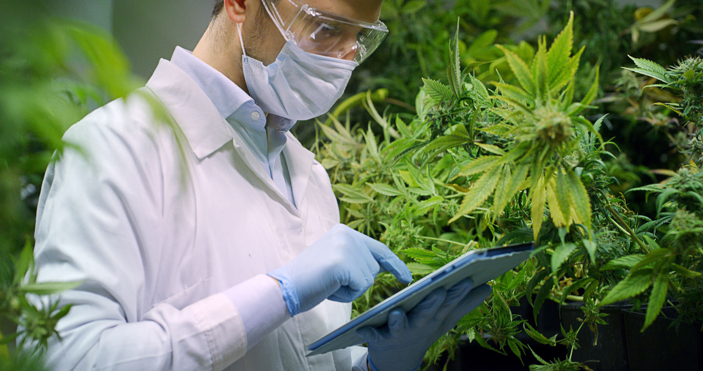 Printed Electronics: Identiv Finds Opportunities for RFID in the Cannabis Market